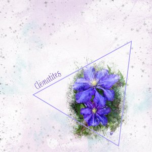 Challenge relax 3 03 2026.jpg