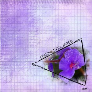 marie rose 3 3 2026 senteurs.jpg