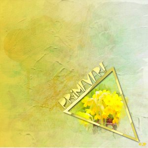 marie rose 3 3 2026 primevere bat.jpg