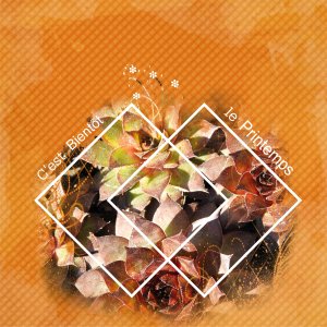 J-n210 - C'EST BIENTOT LE PRINTEMPS.jpg