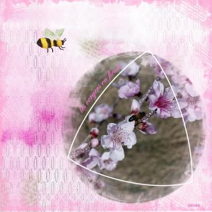 triangles les vergers.jpg