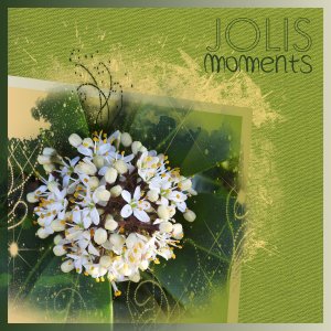 J-n211 - JOLIS MOMENTS.jpg