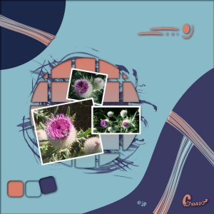 speedscrap7 chardon.jpg