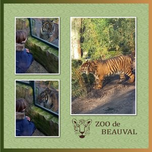 J-A28 - ZOO DE BEAUVAL.jpg