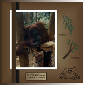 J-A29 - MIAM-MIAM.jpg