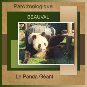 J-A30 - LE PANDA GEANT.jpg