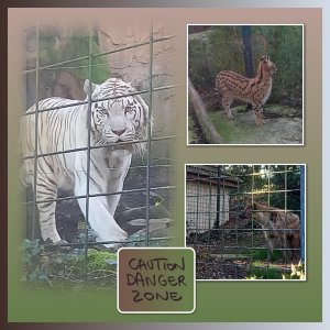 J-A32 - CAUTION DANGER ZONE.jpg