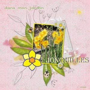 Jonquilles.jpg