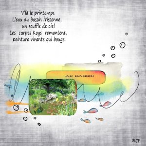 carpes koy au bassin.jpg