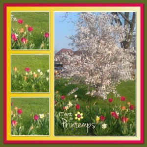 J-n216 - C'EST LE PRINTEMPS.jpg
