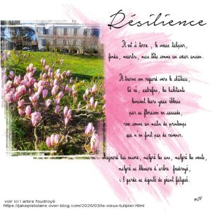 résilience.jpg