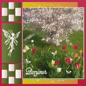 J - BONJOUR.jpg