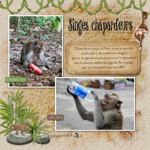 Singes chapardeurs