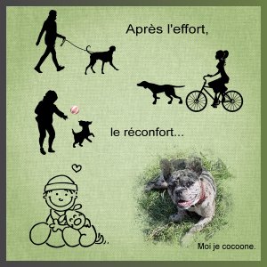 J-c -MOI JE COCOONE.jpg