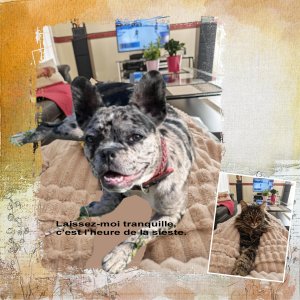 speedscrap9 (page 3).jpg