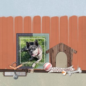 2026 defi SS chien2.jpg