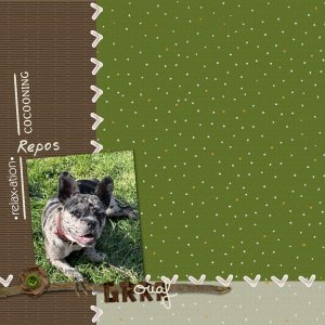 2026 defi SS chien.jpg