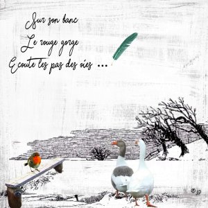 sur son banc reali perso.jpg