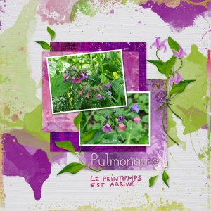 2025 pulmonaire.jpg