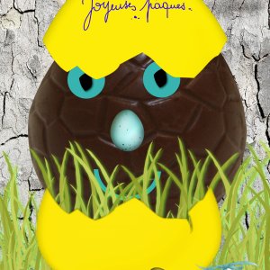 oeuf cassé 2026.jpg