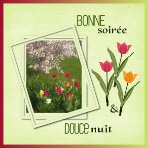 J - BONNE SOIREE ET DOUCE NUIT.jpg