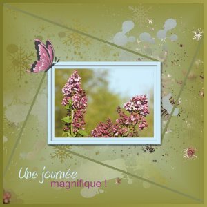 J - UNE JOURNEE MAGNIFIQUE.jpg