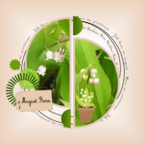 J-c199 - MUGUET ROSE.jpg