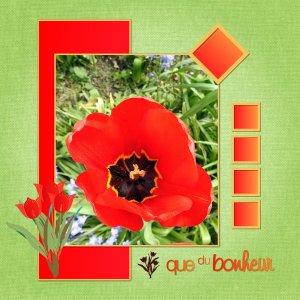 J-n222 - QUE DU BONHEUR.jpg