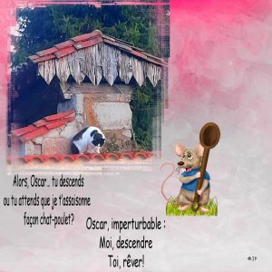 oscar et le chat cuisinier .jpg