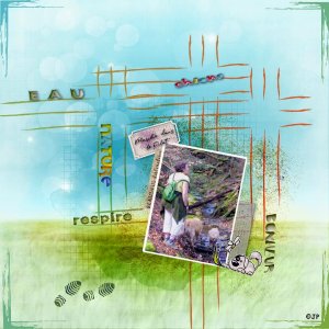 Marche avec les chiens