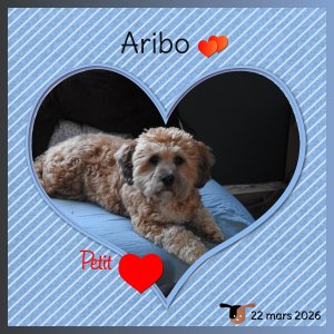 J-A35 - ARIBO PETIT COEUR.jpg