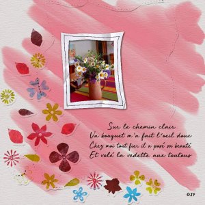 sur le chemin clair.jpg