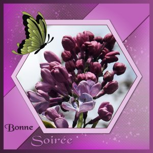 J - BONNE SOIREE.jpg