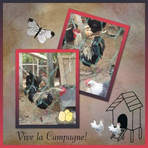 J-A37 - VIVE LA CAMPAGNE.jpg