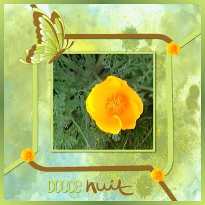 J - DOUCE NUIT.jpg