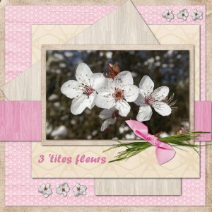 Trois petites fleurs.jpg