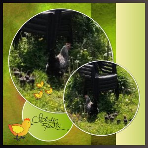 J-A38 - ACTIVITE EN PLEIN AIR.jpg