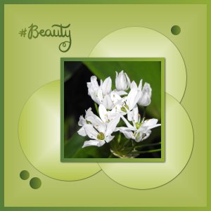J-n226 - BEAUTY.jpg