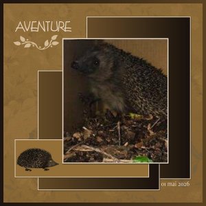 J-A39 - AVENTURE.jpg