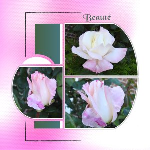 J-n - BEAUTE.jpg