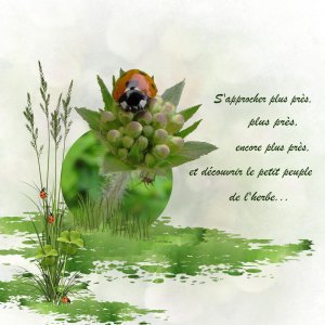 Défi scraplift avec hors cadre mai 2026.jpg