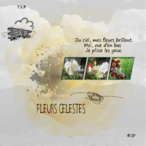 712 fleurs celestes.jpeg