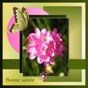 J - BONNE SOIREE.jpg