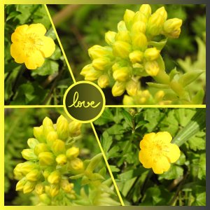 J-n230 - LOVE.jpg