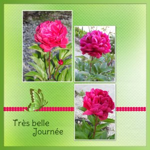 J - TRES BELLE JOURNEE.jpg