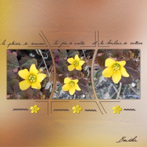 J-n231 - LE PLAISIR SE RAMASSE.jpg