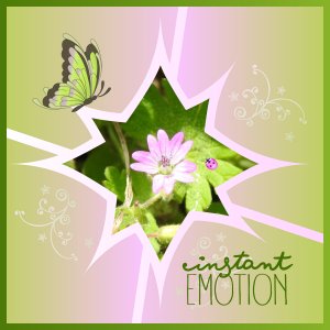 J-n232 - INSTANT EMOTION.jpg