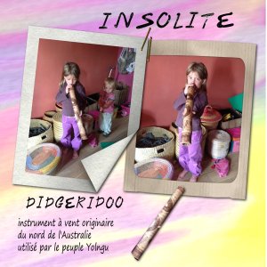 défi Aliselle