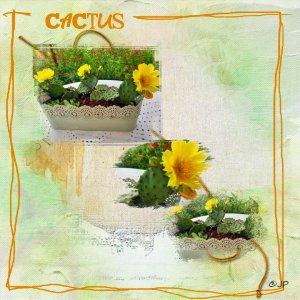 j aime mon jardin     cactus à raquette