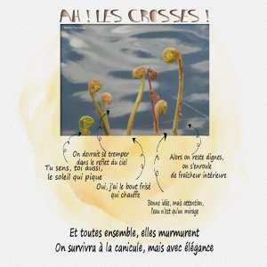 ah les crosses.jpg